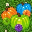 Color Pumpkin Match